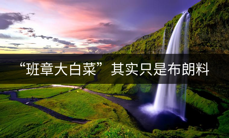 “班章大白菜”其實(shí)只是布朗料？