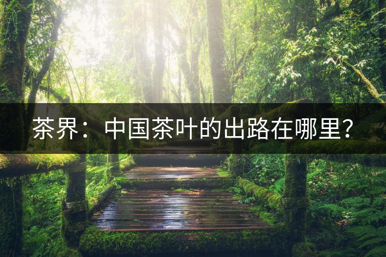 茶界：中國茶葉的出路在哪里？