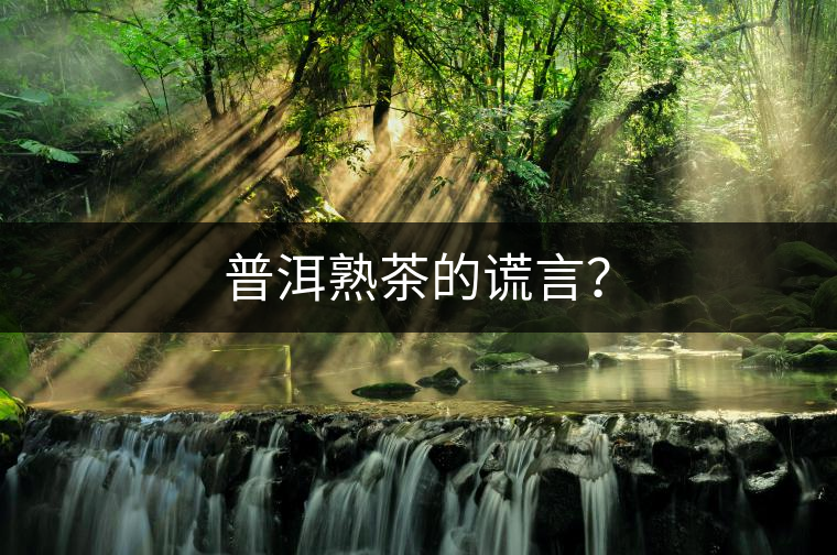 普洱熟茶的謊言？