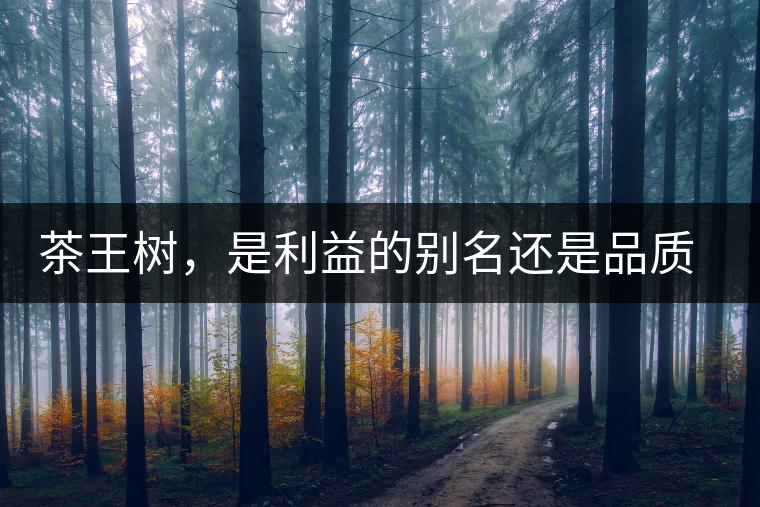 茶王樹，是利益的別名還是品質(zhì)的象征？