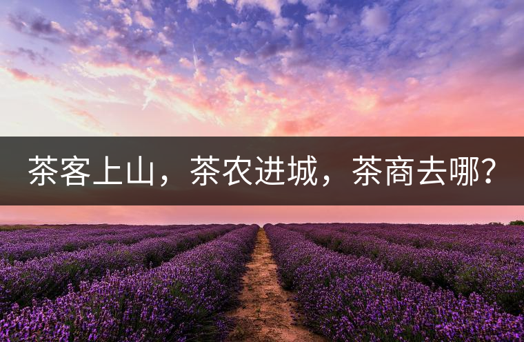茶客上山，茶農(nóng)進(jìn)城，茶商去哪？