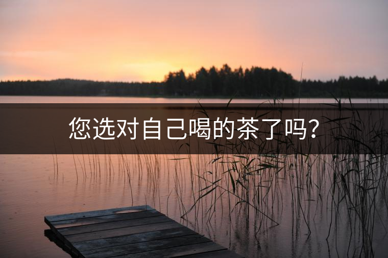 您選對自己喝的茶了嗎？