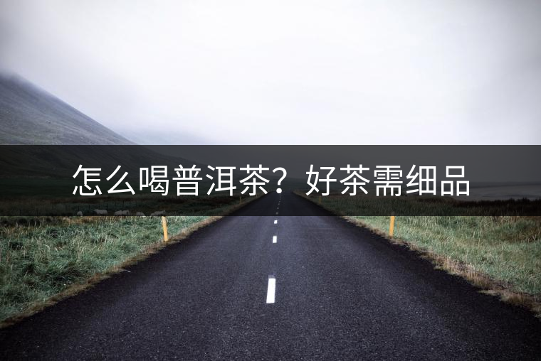 怎么喝普洱茶？好茶需細品