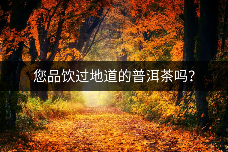 您品飲過地道的普洱茶嗎？
