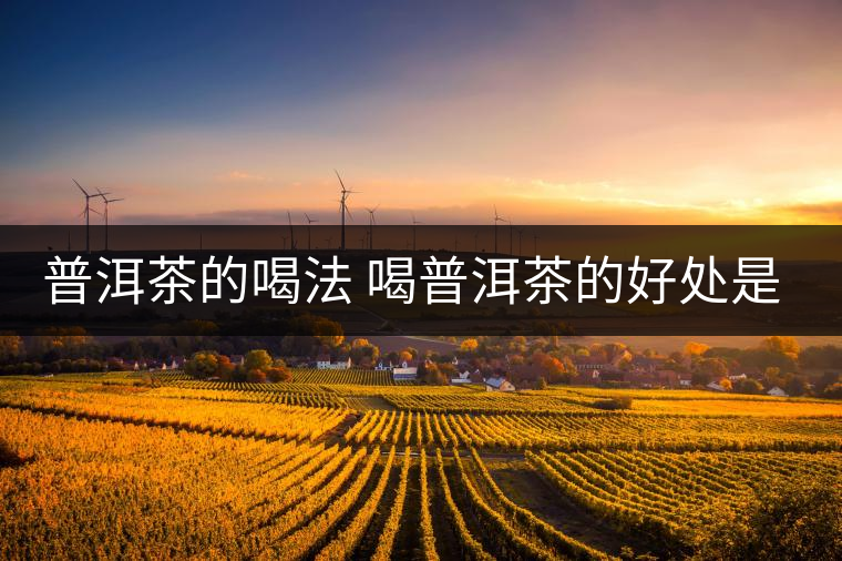 普洱茶的喝法 喝普洱茶的好處是什么？