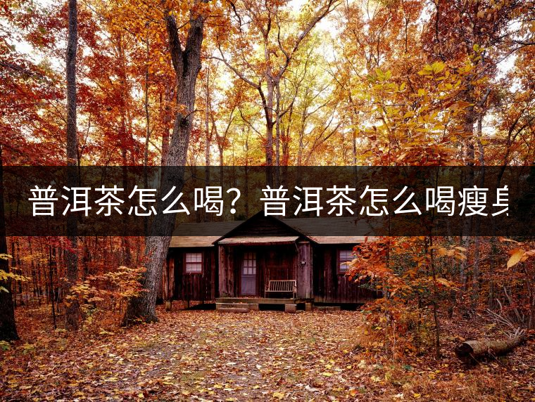 普洱茶怎么喝？普洱茶怎么喝瘦身？
