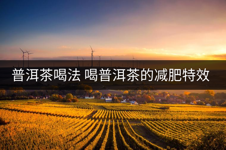 普洱茶喝法 喝普洱茶的減肥特效是什么呢？