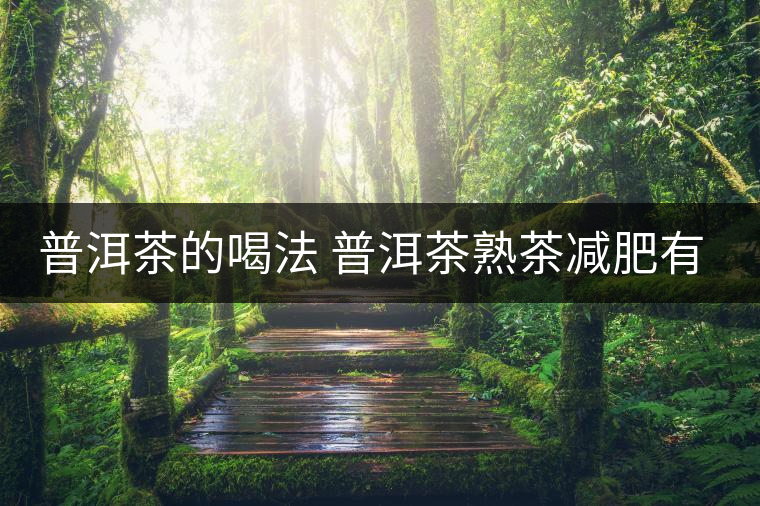 普洱茶的喝法 普洱茶熟茶減肥有什么效果嗎？