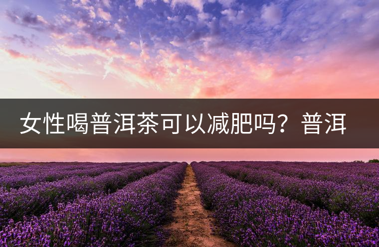 女性喝普洱茶可以減肥嗎？普洱茶的功效又有哪些呢？