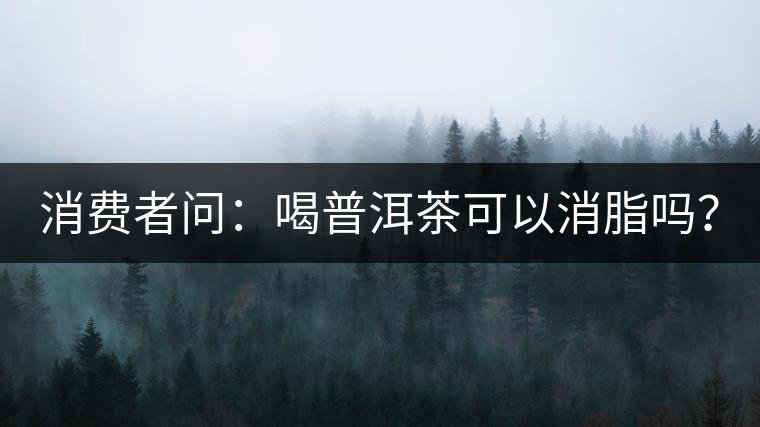 消費者問：喝普洱茶可以消脂嗎？