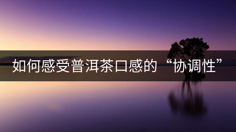 如何感受普洱茶口感的“協(xié)調(diào)性”？