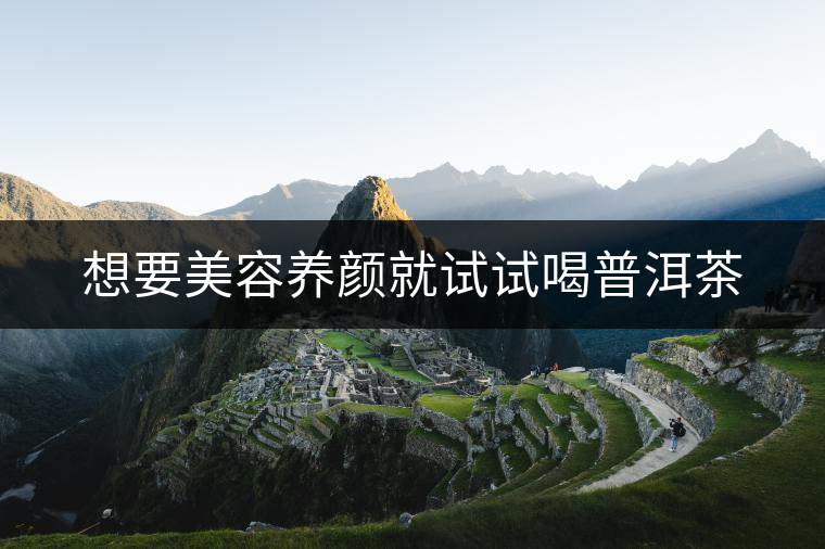 想要美容養(yǎng)顏就試試喝普洱茶