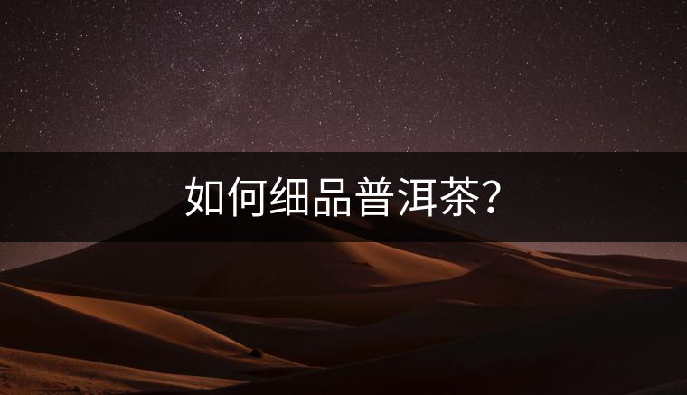 如何細品普洱茶？