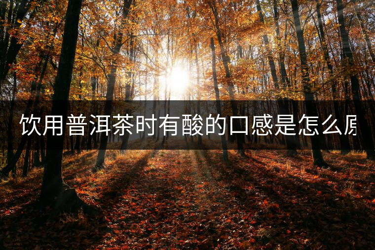 飲用普洱茶時(shí)有酸的口感是怎么原因？