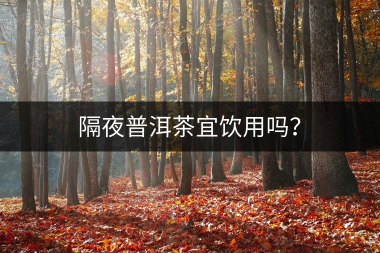 隔夜普洱茶宜飲用嗎？