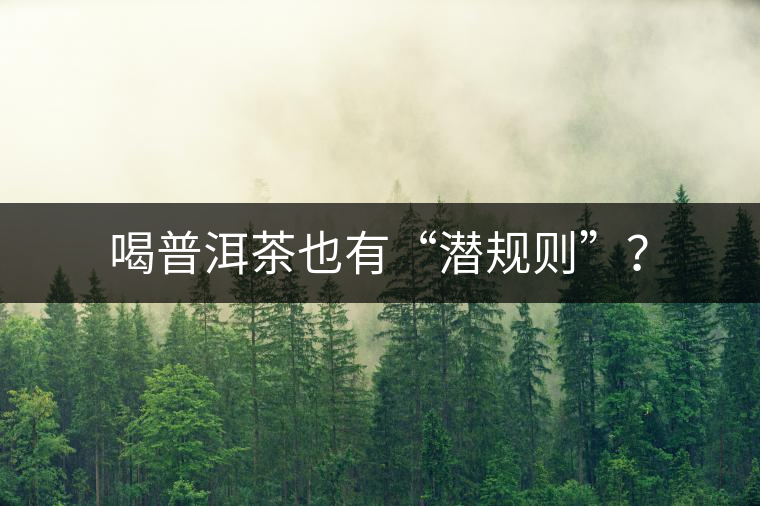 喝普洱茶也有“潛規(guī)則”？