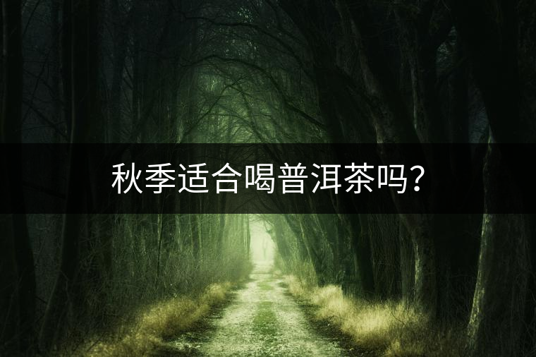 秋季適合喝普洱茶嗎？