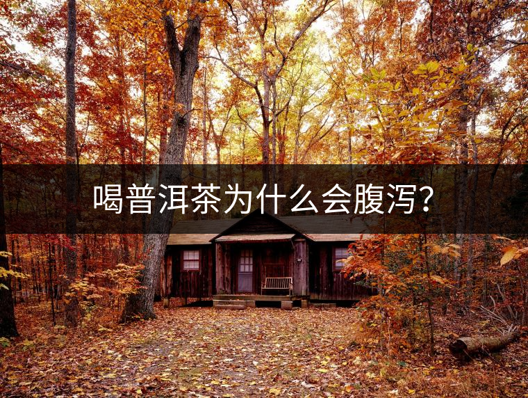 喝普洱茶為什么會腹瀉？