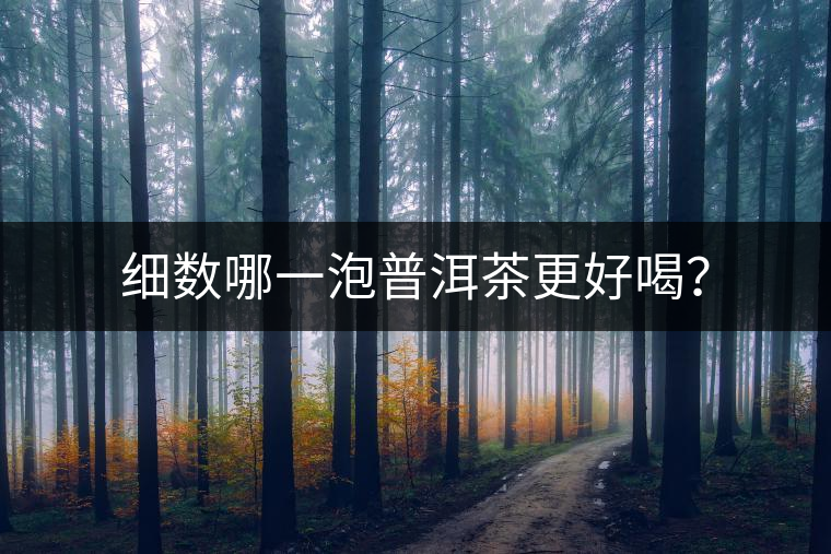 細(xì)數(shù)哪一泡普洱茶更好喝？