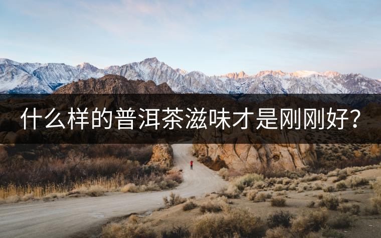 什么樣的普洱茶滋味才是剛剛好？