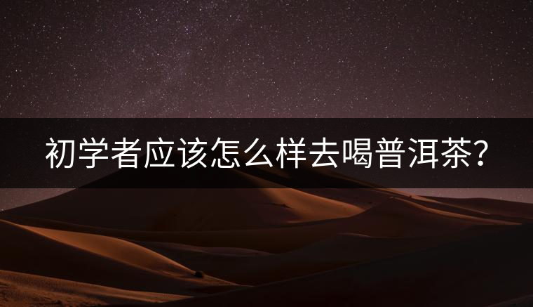 初學者應(yīng)該怎么樣去喝普洱茶？