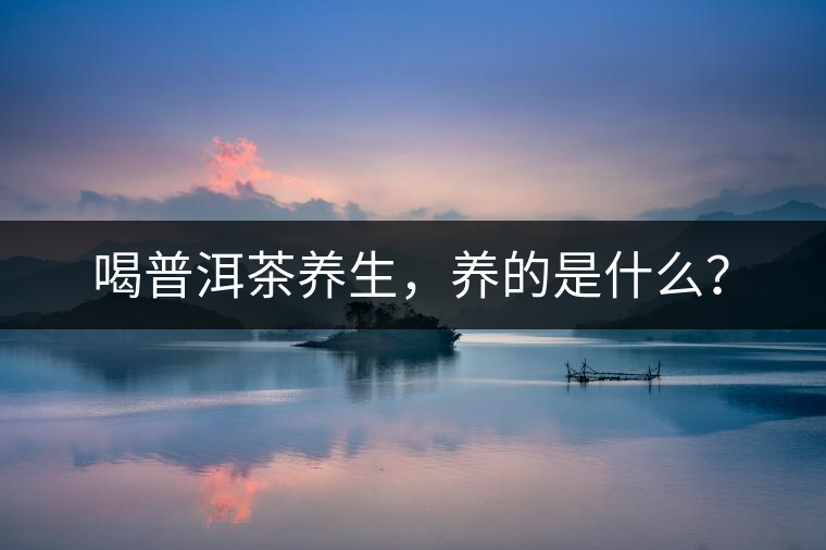 喝普洱茶養(yǎng)生，養(yǎng)的是什么？