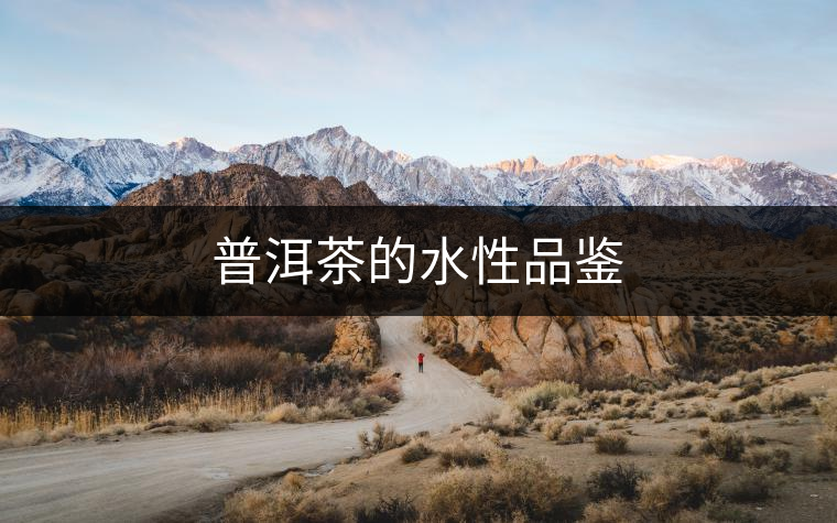 普洱茶的水性品鑒 普洱茶的水性品鑒