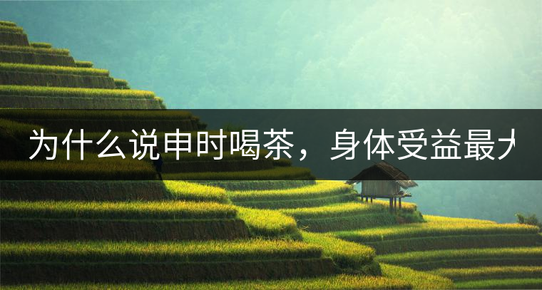 為什么說(shuō)申時(shí)喝茶，身體受益最大？