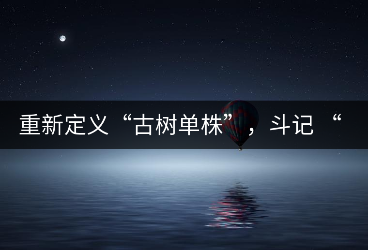 重新定義“古樹單株”，斗記 “超級審評”有償招募告罄在即！