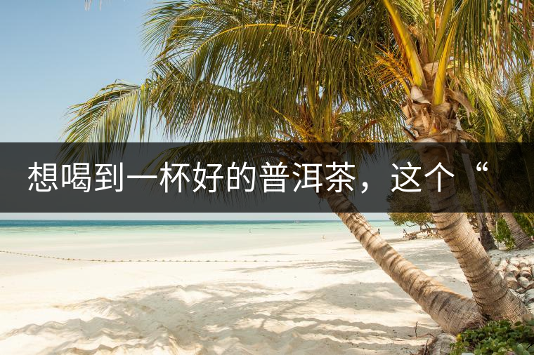 想喝到一杯好的普洱茶，這個“醒茶”步驟很關鍵