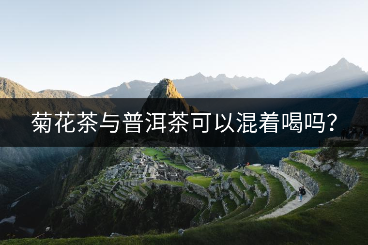 菊花茶與普洱茶可以混著喝嗎？