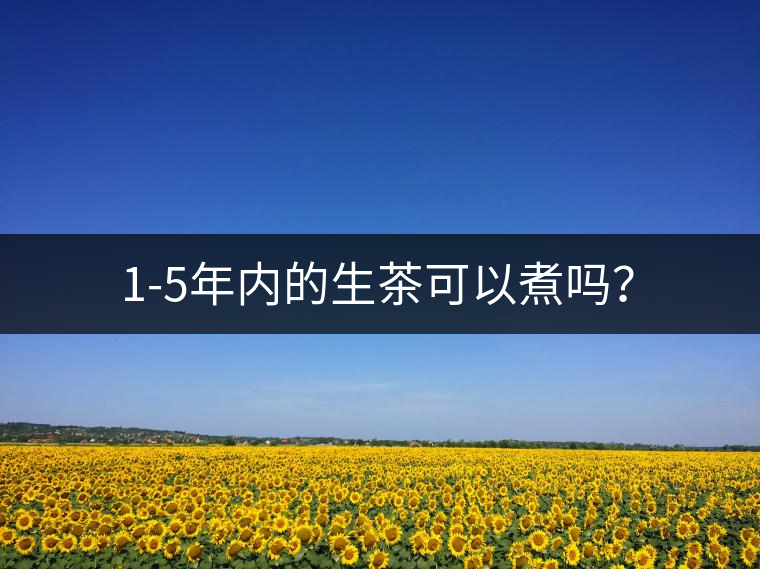 1-5年內(nèi)的生茶可以煮嗎？