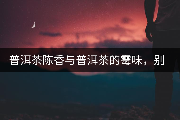 普洱茶陳香與普洱茶的霉味，別把它們給搞混了