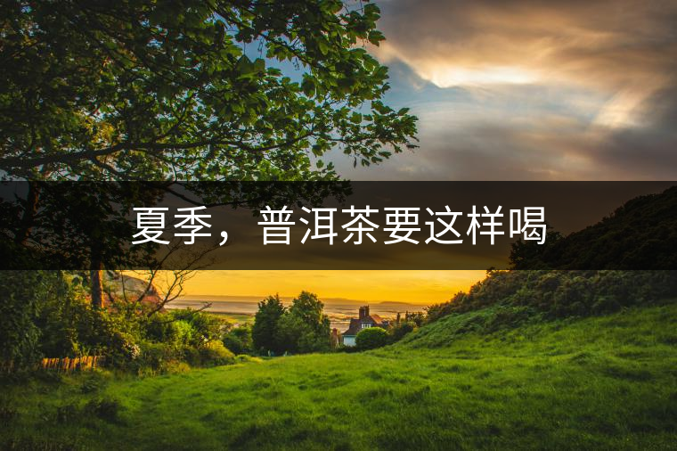 夏季，普洱茶要這樣喝