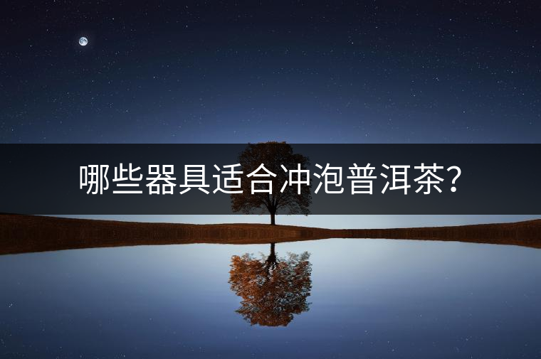 哪些器具適合沖泡普洱茶？