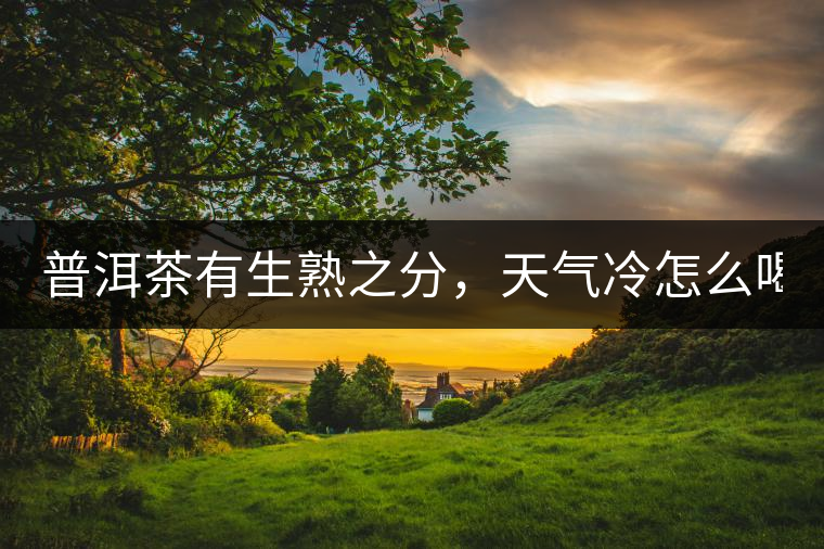 普洱茶有生熟之分，天氣冷怎么喝？