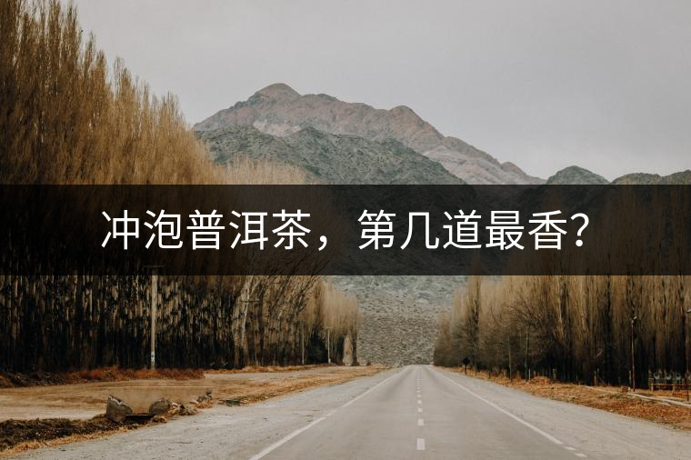 沖泡普洱茶，第幾道最香？