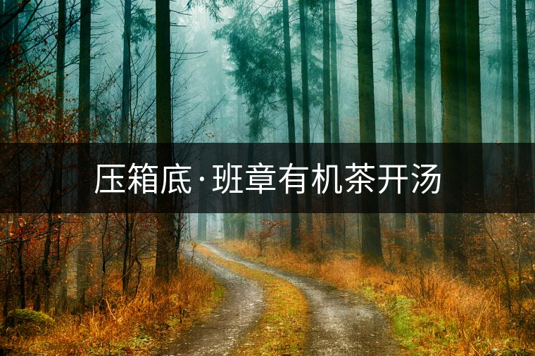 壓箱底·班章有機(jī)茶開湯 壓箱底·班章有機(jī)茶開湯