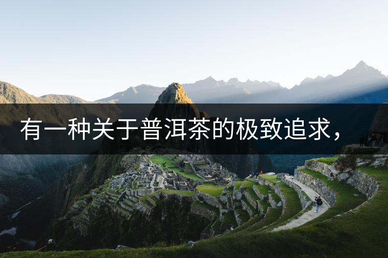 有一種關于普洱茶的極致追求， 當屬于鴻中鴻