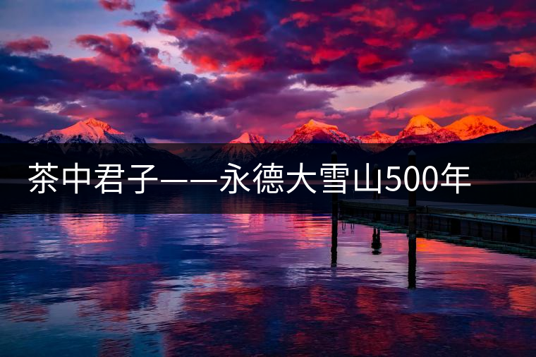 茶中君子——永德大雪山500年單株 茶中君子——永德大雪山500年單株