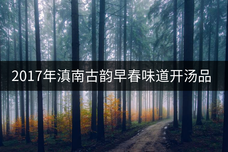 2017年滇南古韻早春味道開湯品鑒