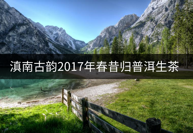 滇南古韻2017年春昔歸普洱生茶官方評測