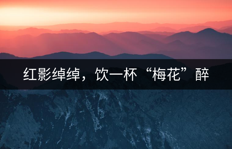 紅影綽綽，飲一杯“梅花”醉
