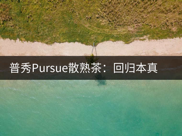 普秀Pursue散熟茶：回歸本真，一款高性價比口糧散熟茶