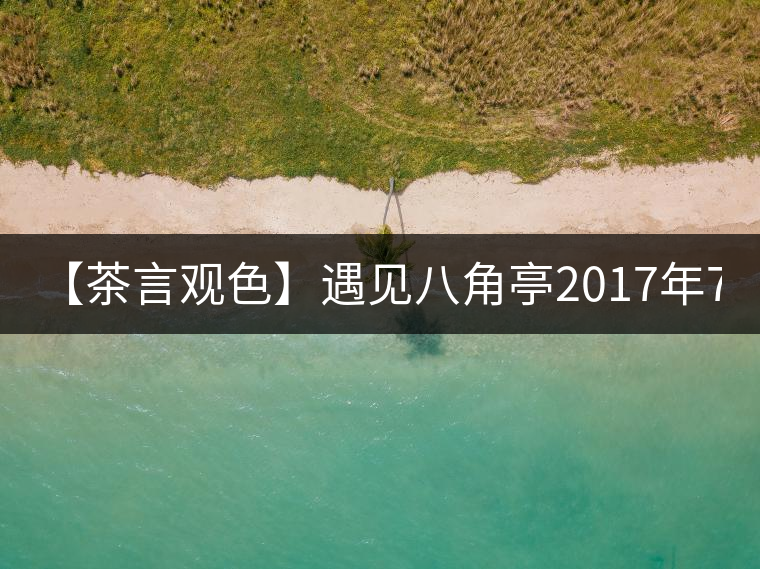 【茶言觀色】遇見八角亭2017年7540 【茶言觀色】遇見八角亭2017年7540