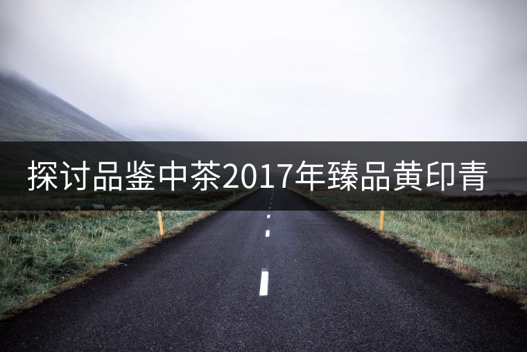探討品鑒中茶2017年臻品黃印青餅 探討品鑒中茶2017年臻品黃印青餅