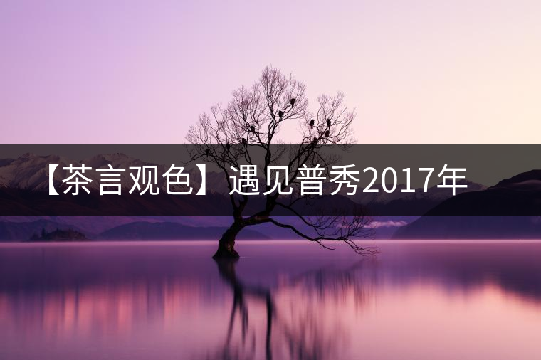 【茶言觀色】遇見普秀2017年甲級沱茶