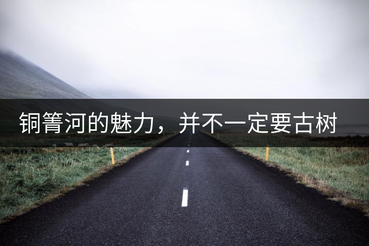 銅箐河的魅力，并不一定要古樹來體現(xiàn)