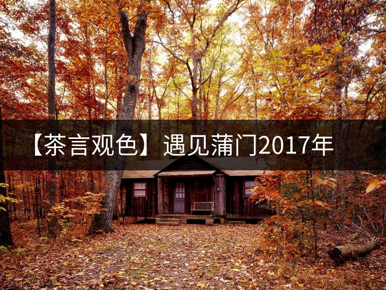 【茶言觀色】遇見蒲門2017年茗門一級(jí)工夫紅茶 【茶言觀色】遇見蒲門2017年茗門一級(jí)工夫紅茶