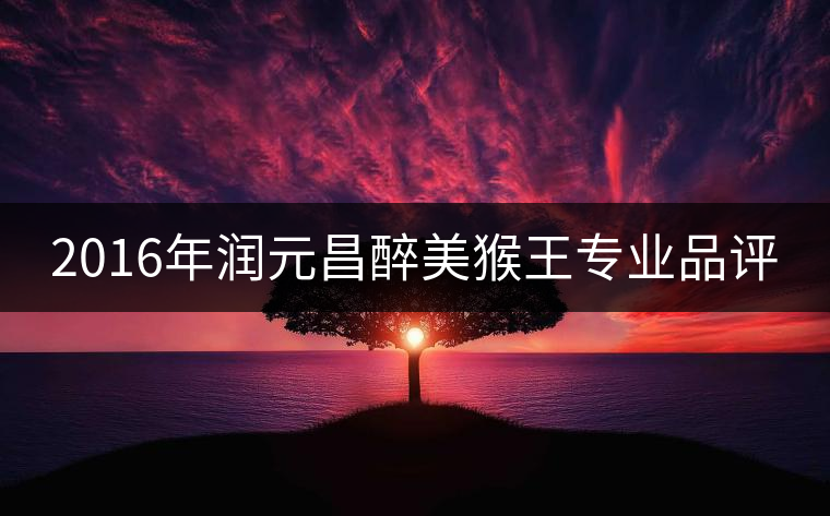 2016年潤(rùn)元昌醉美猴王專業(yè)品評(píng)